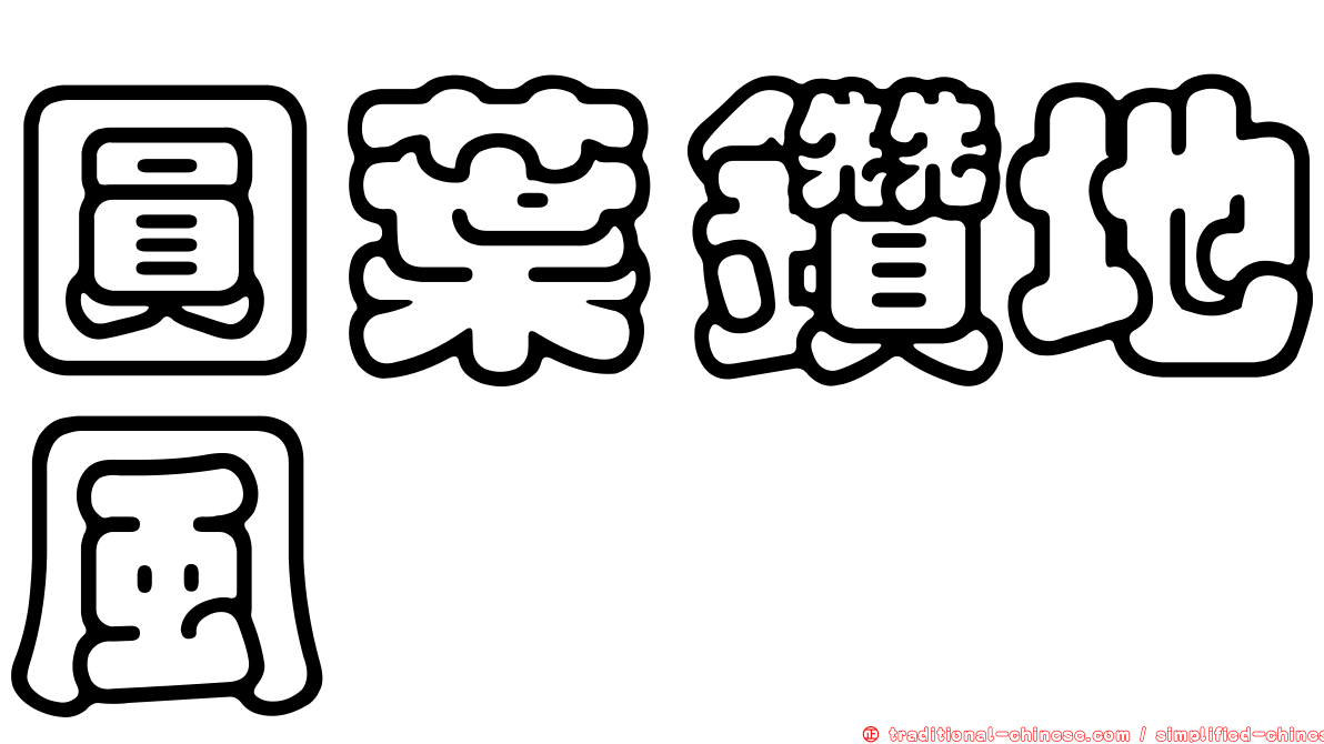 圓葉鑽地風