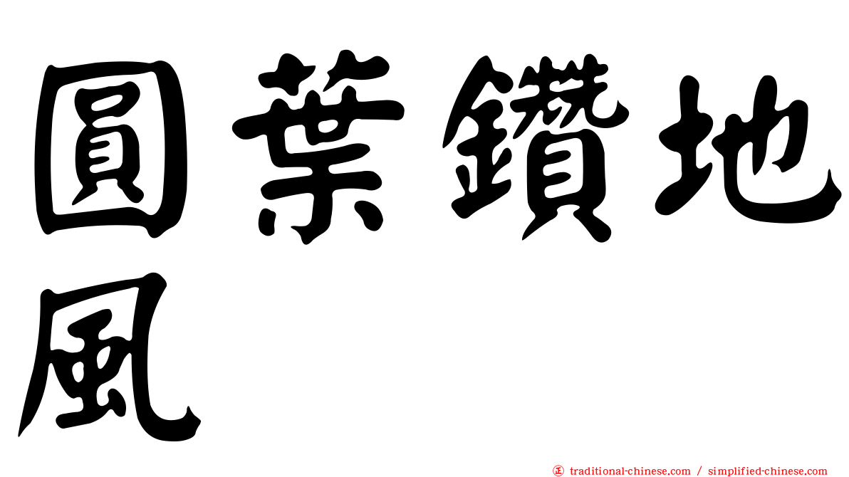 圓葉鑽地風