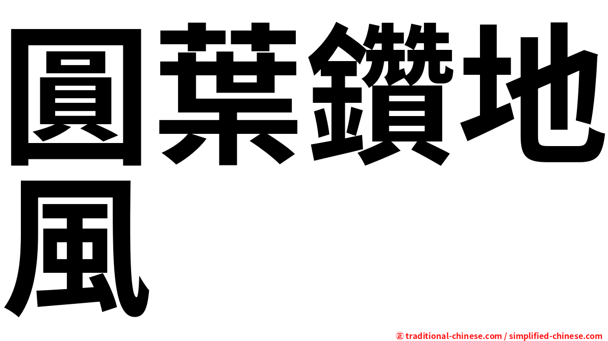 圓葉鑽地風