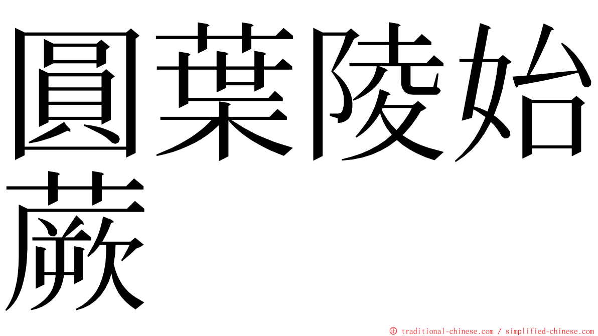 圓葉陵始蕨 ming font