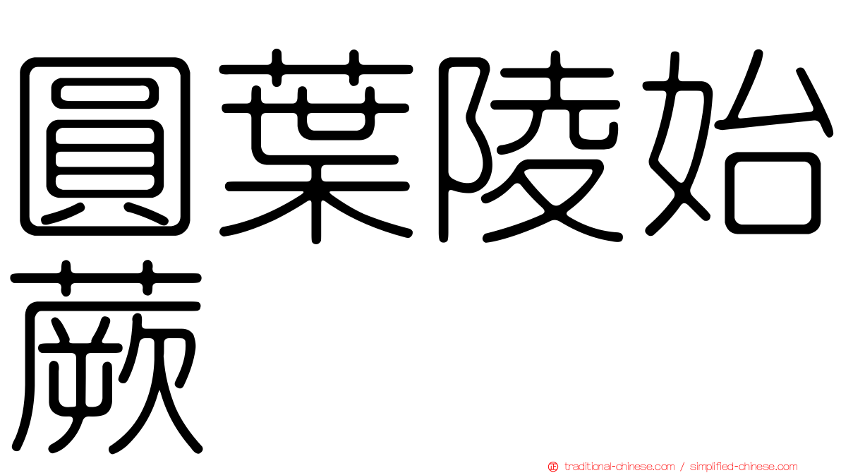 圓葉陵始蕨