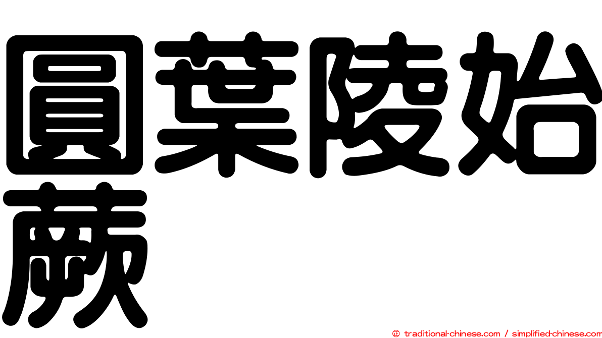 圓葉陵始蕨
