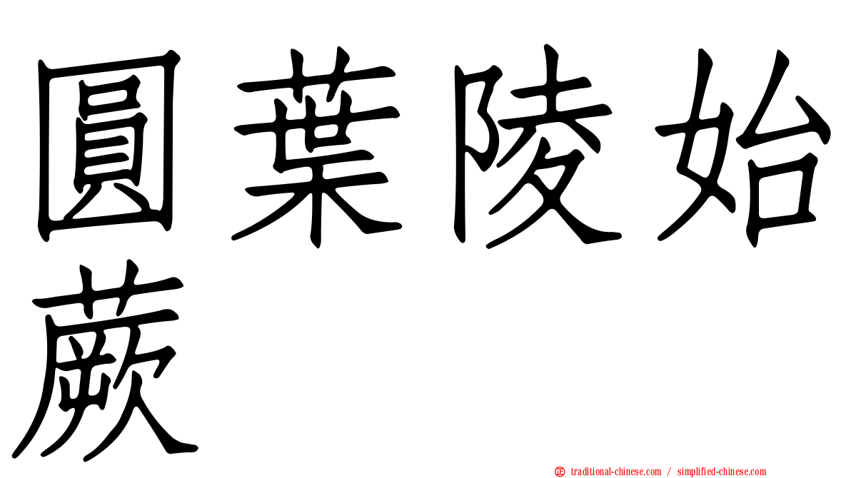 圓葉陵始蕨
