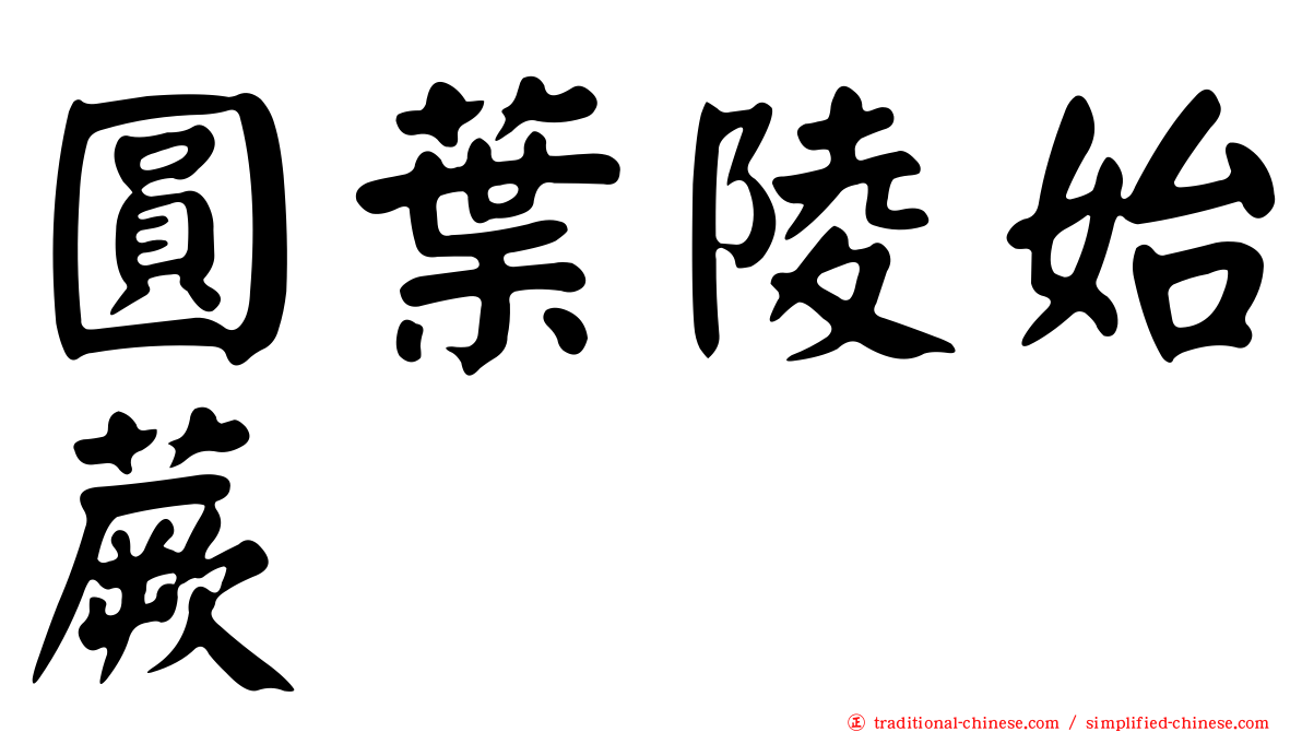 圓葉陵始蕨