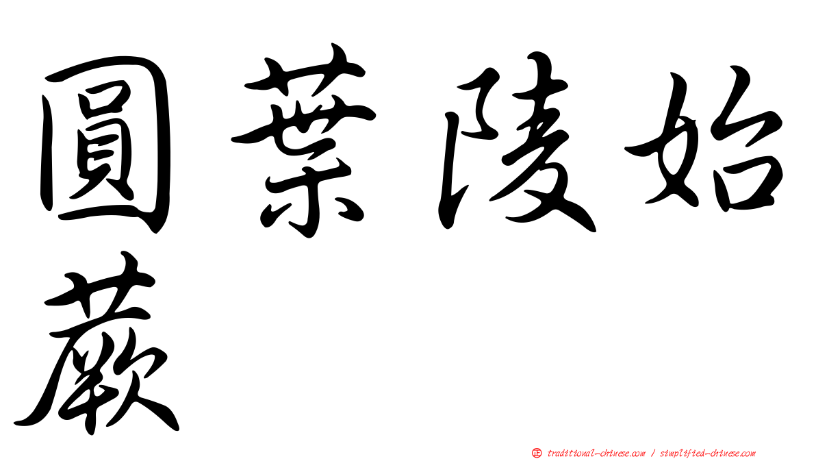 圓葉陵始蕨