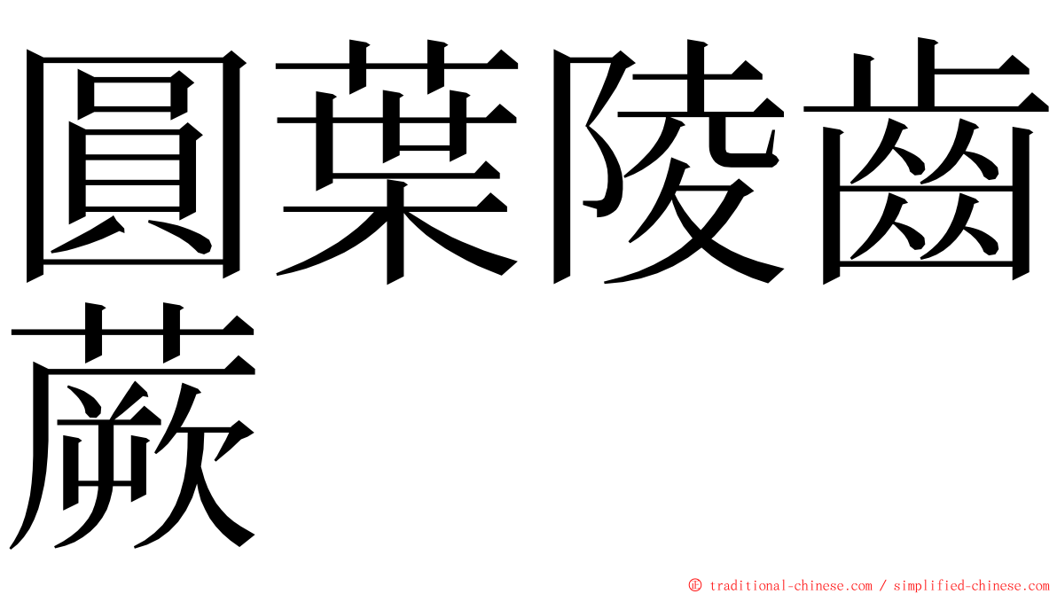 圓葉陵齒蕨 ming font