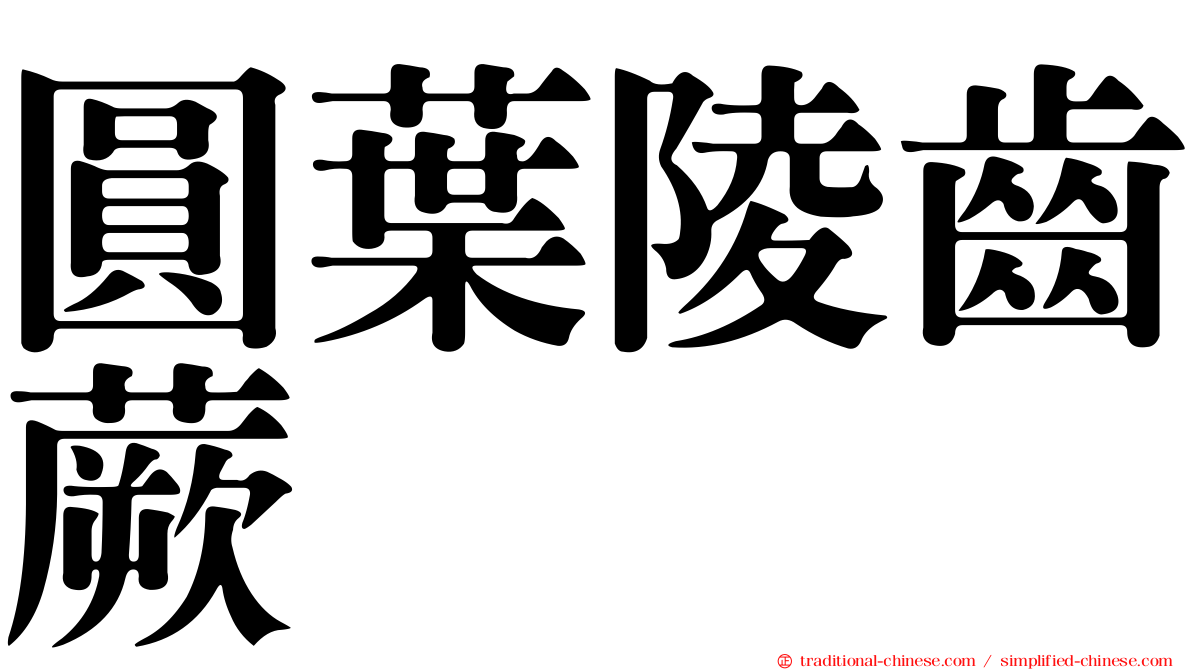 圓葉陵齒蕨