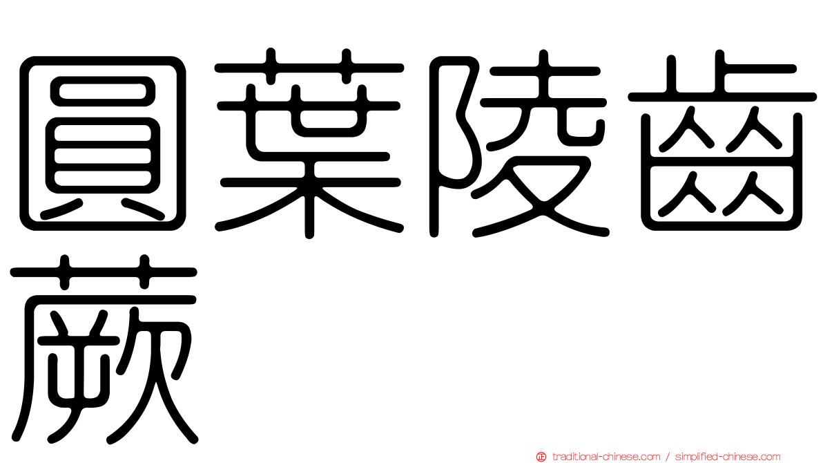 圓葉陵齒蕨
