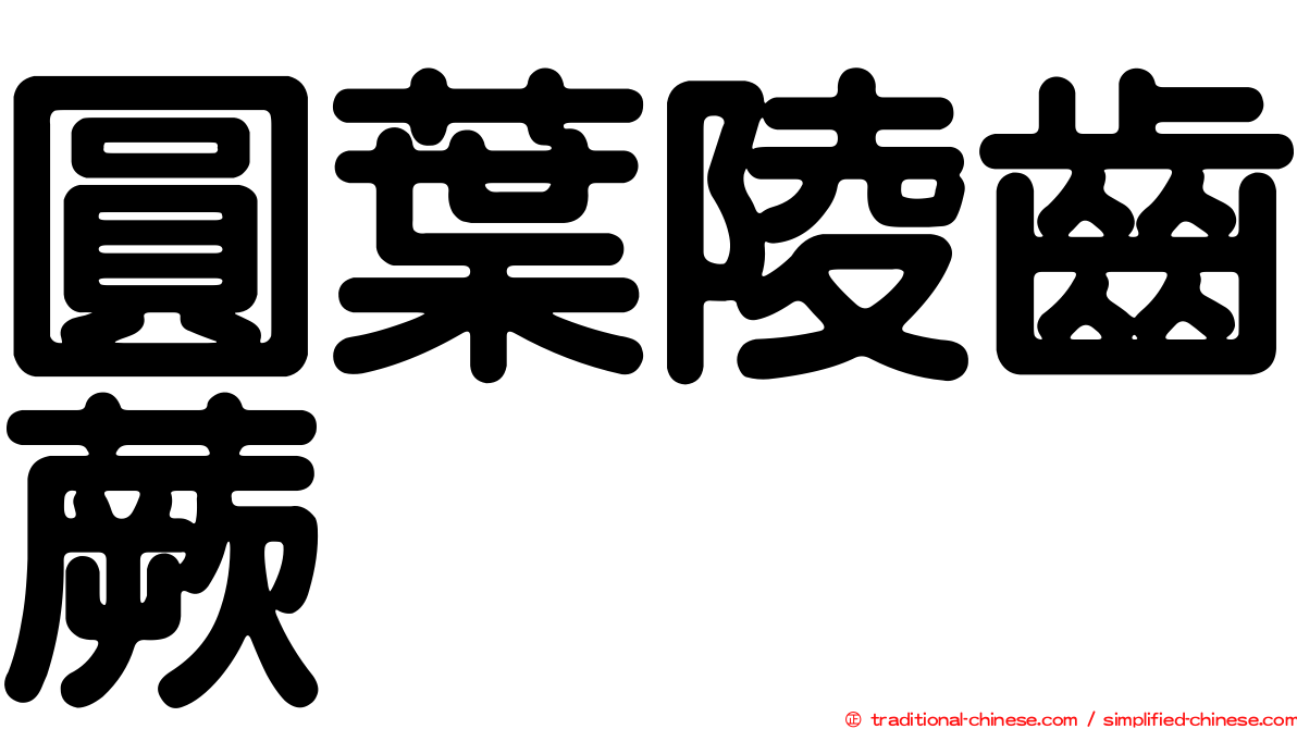 圓葉陵齒蕨