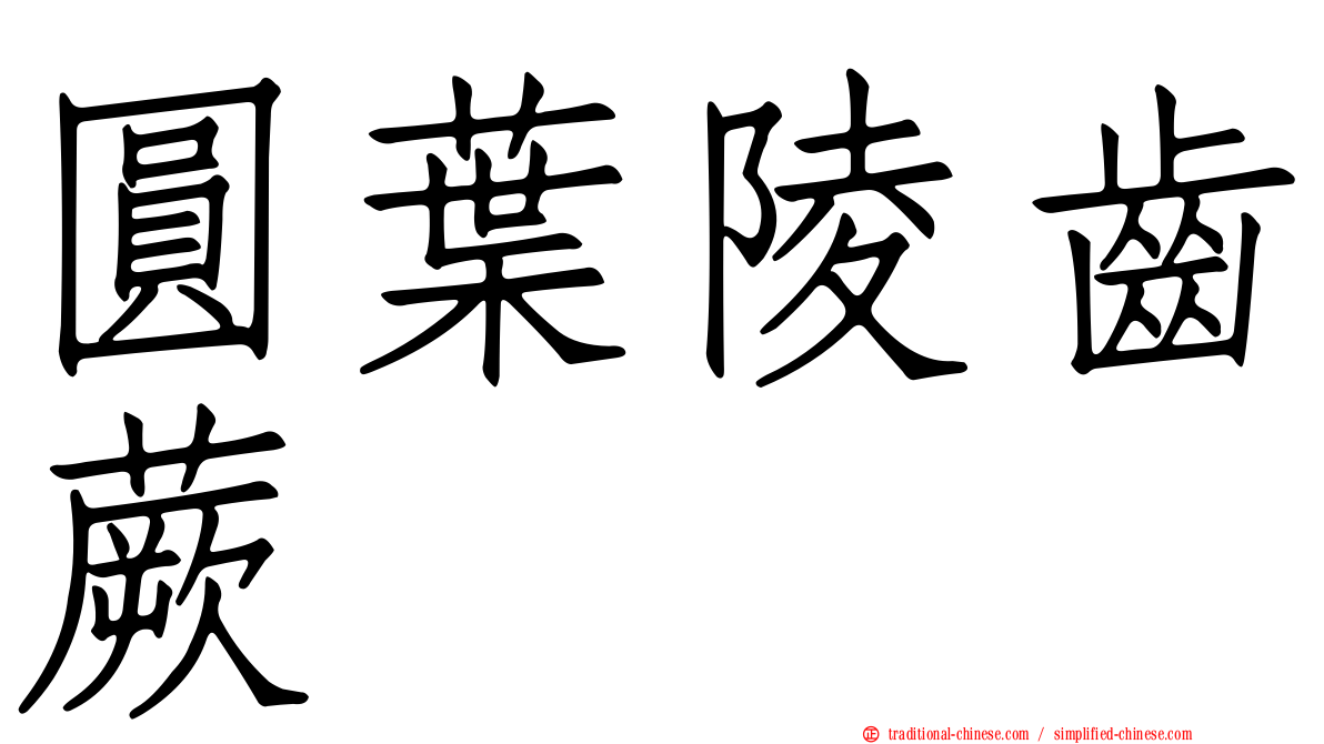 圓葉陵齒蕨