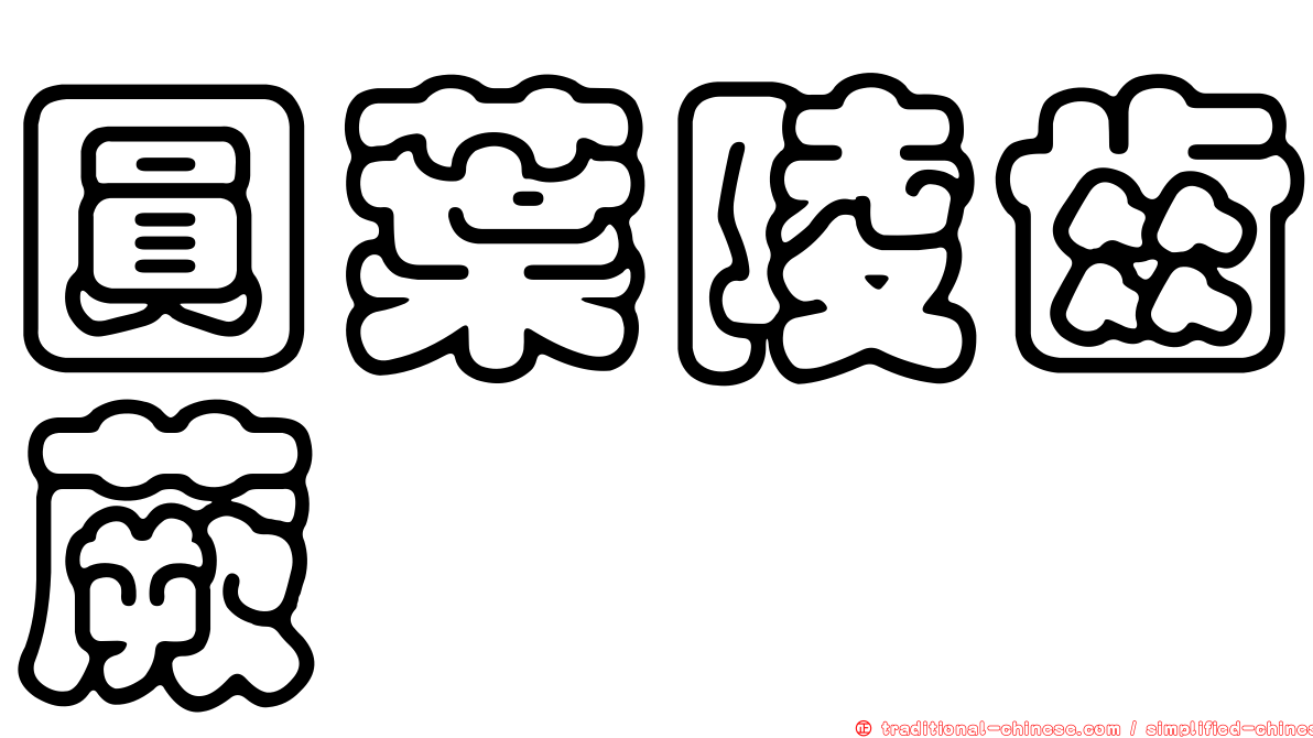 圓葉陵齒蕨