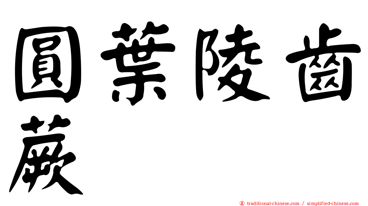 圓葉陵齒蕨