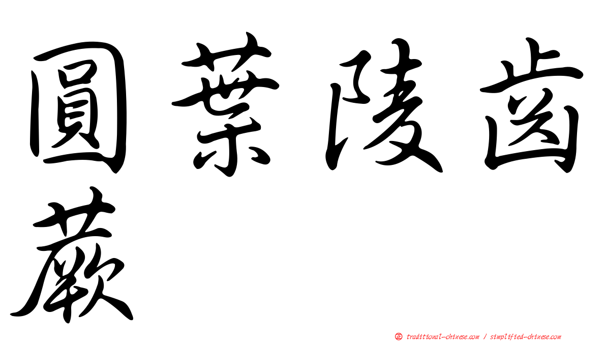 圓葉陵齒蕨