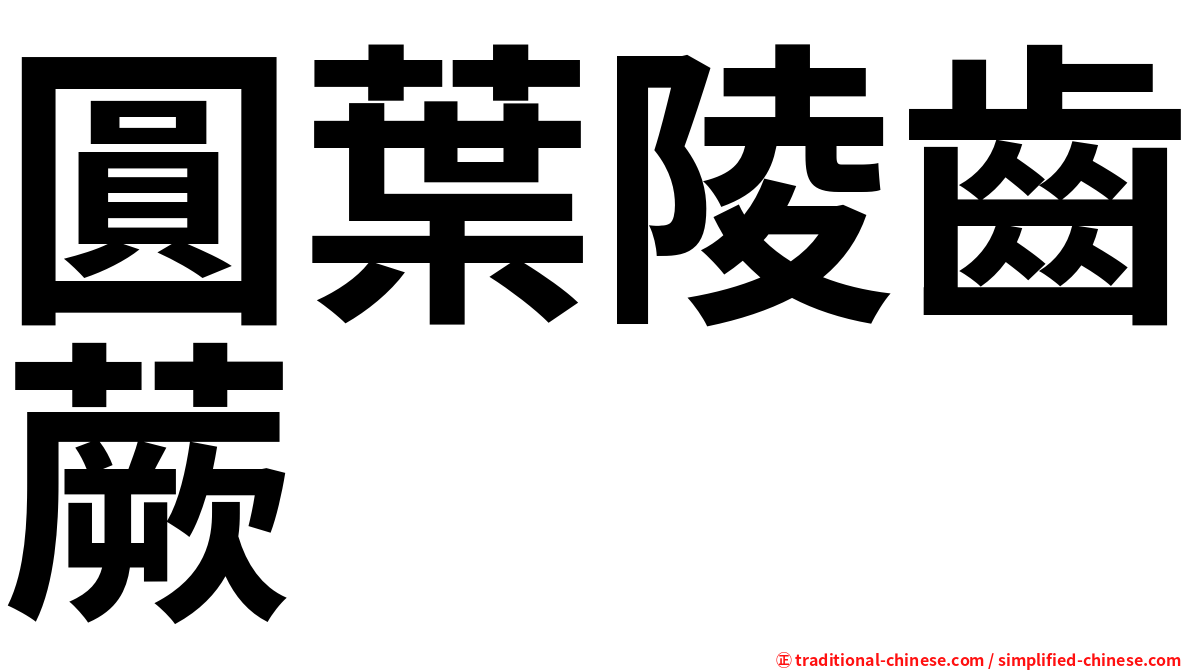 圓葉陵齒蕨