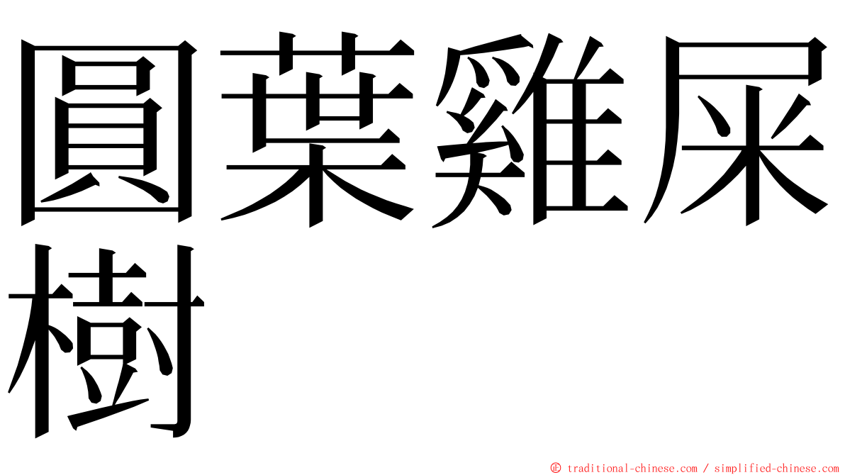 圓葉雞屎樹 ming font