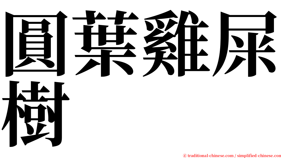 圓葉雞屎樹 serif font