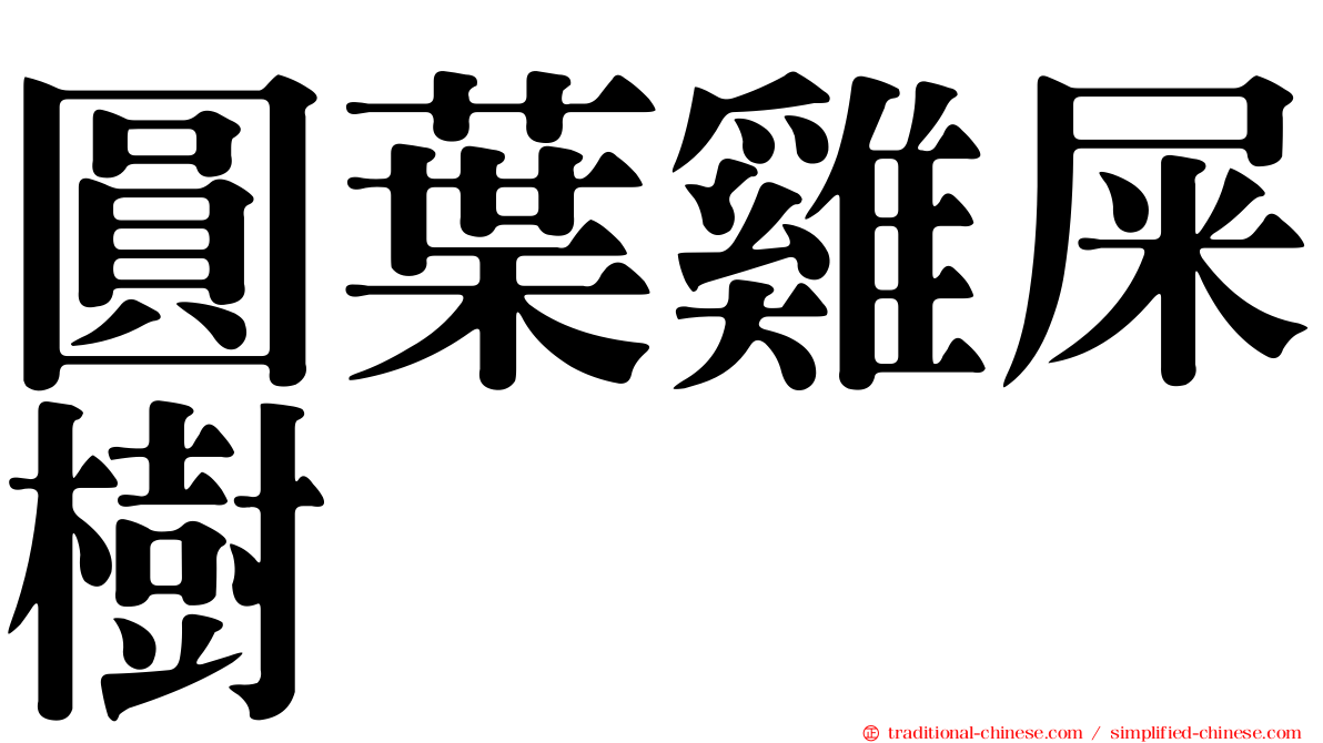 圓葉雞屎樹