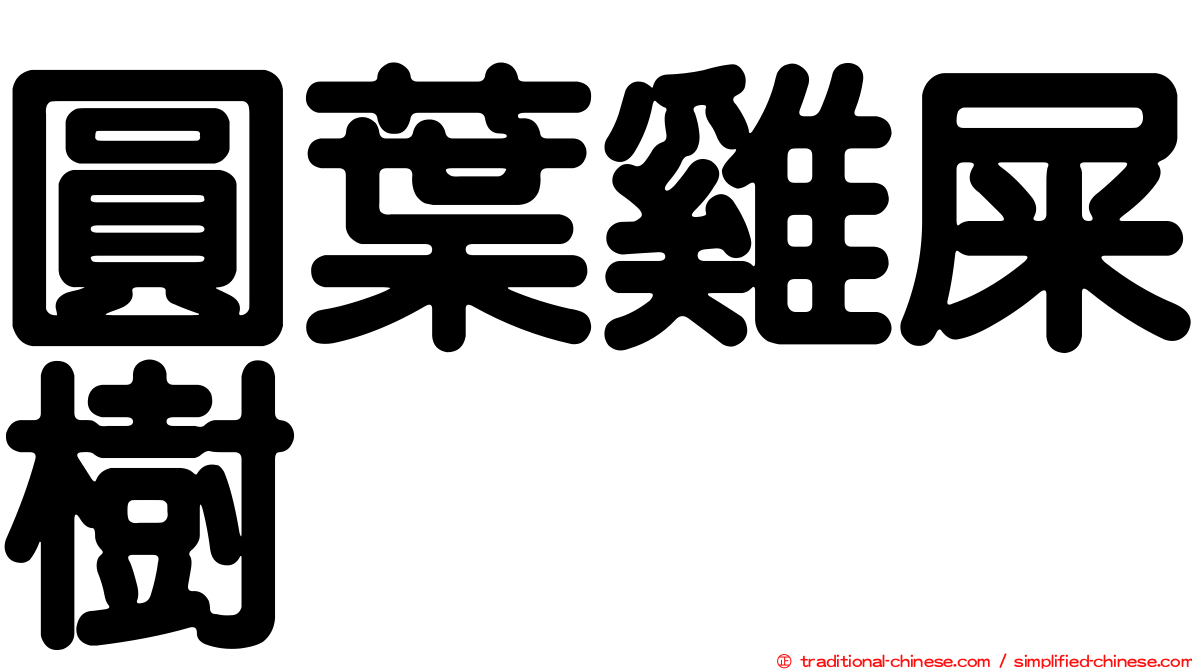 圓葉雞屎樹