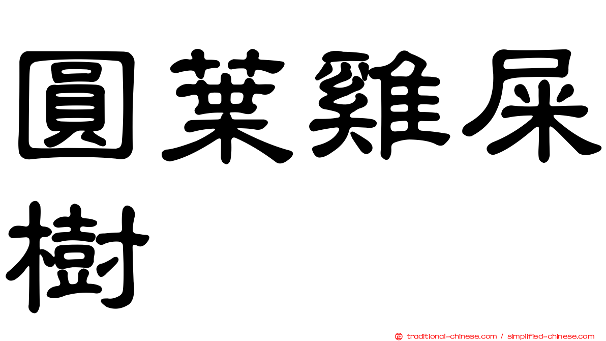 圓葉雞屎樹
