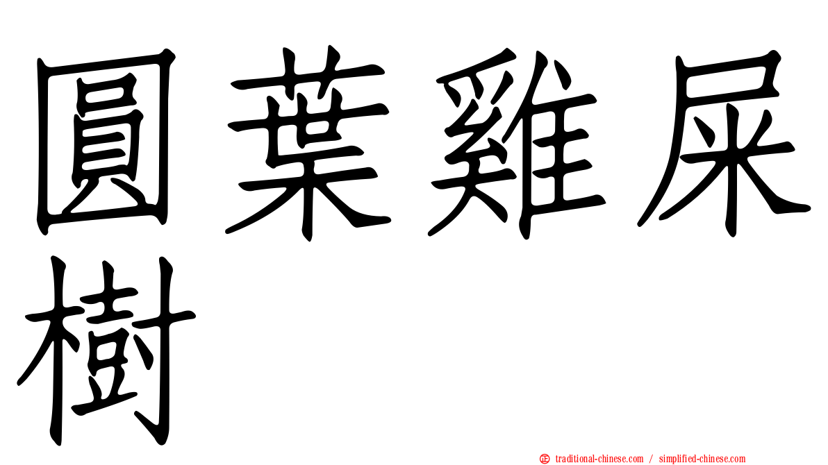 圓葉雞屎樹