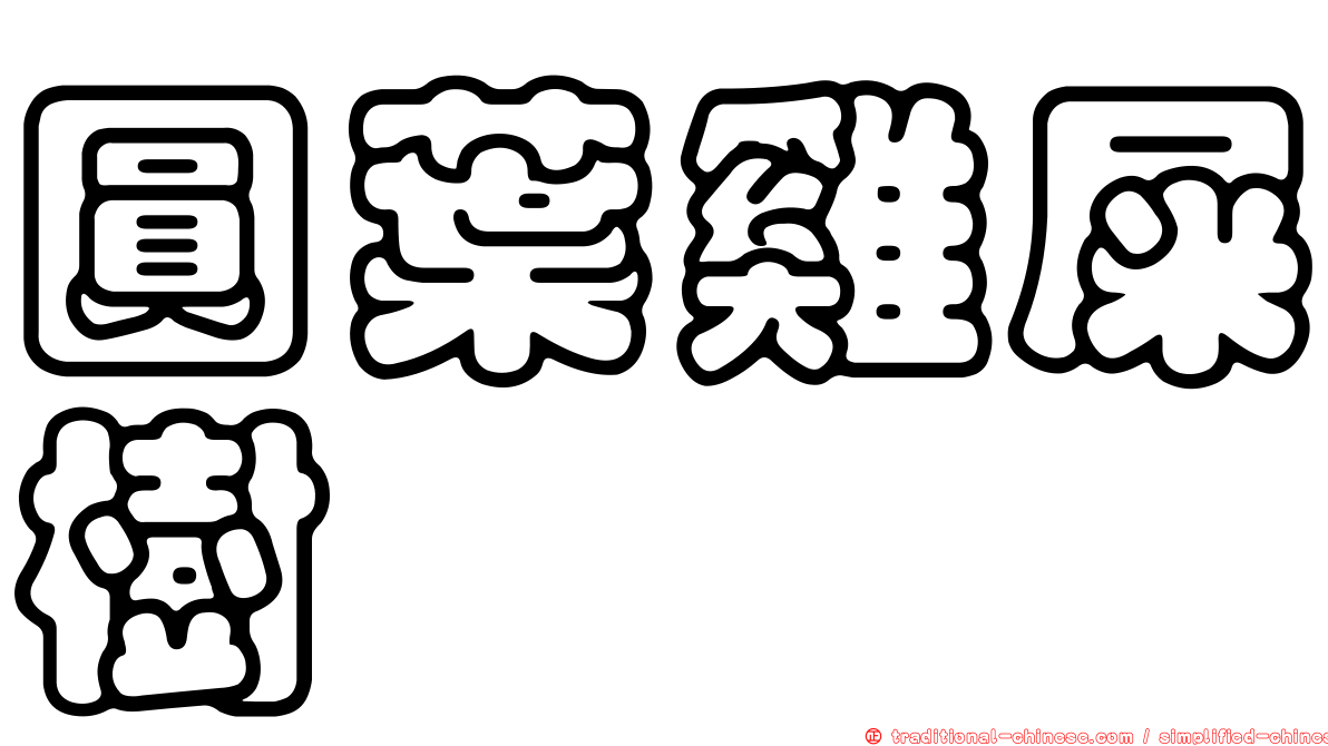圓葉雞屎樹