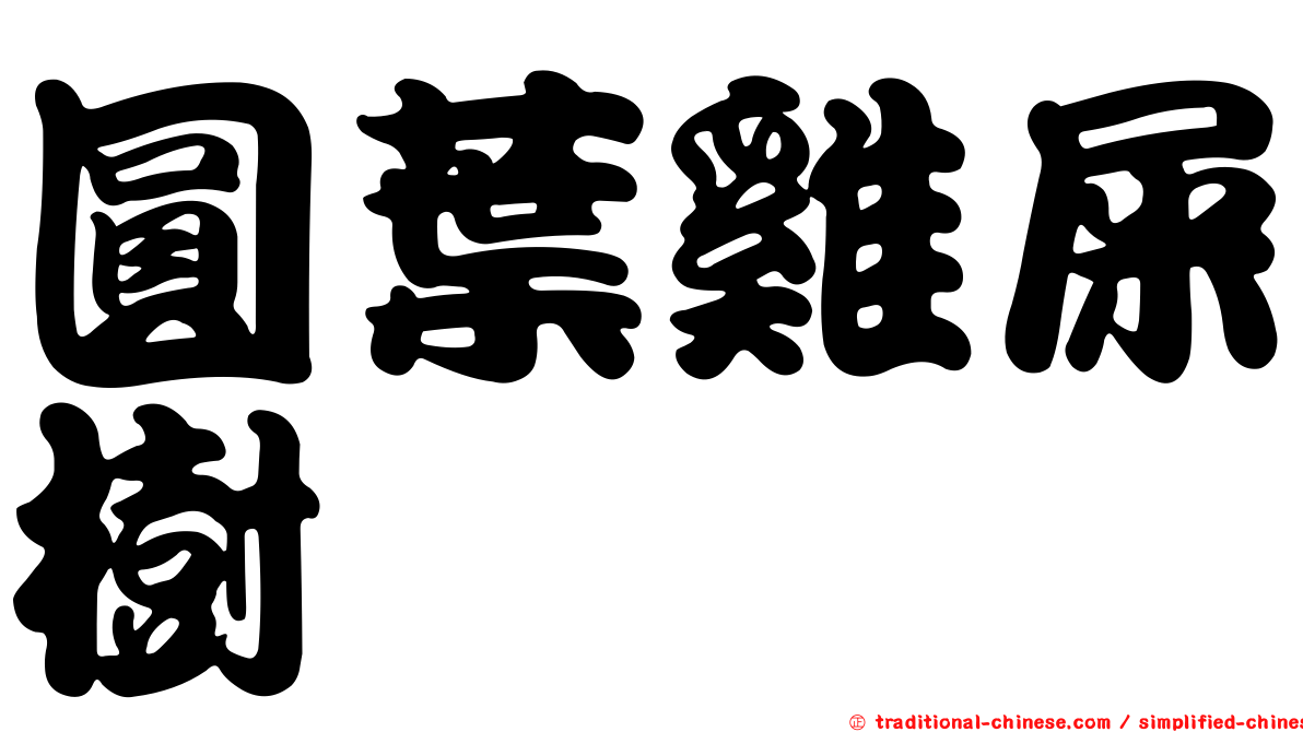 圓葉雞屎樹