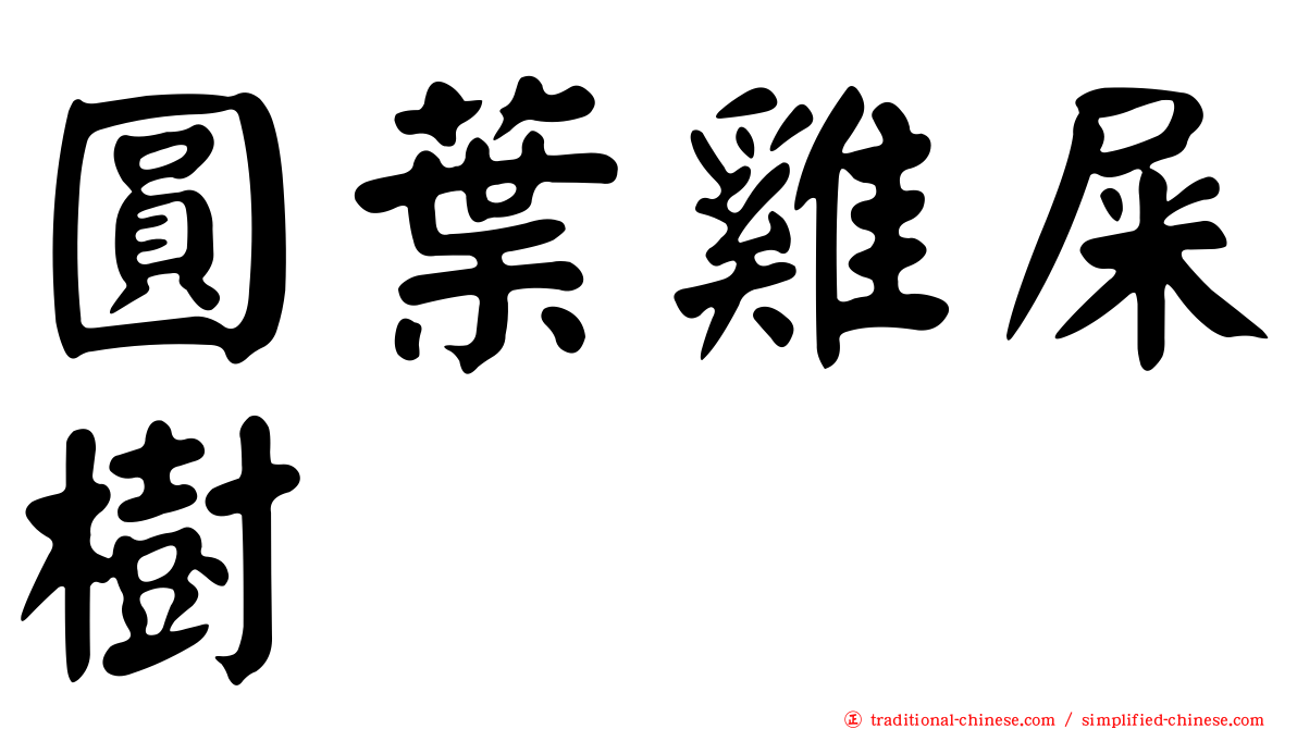 圓葉雞屎樹