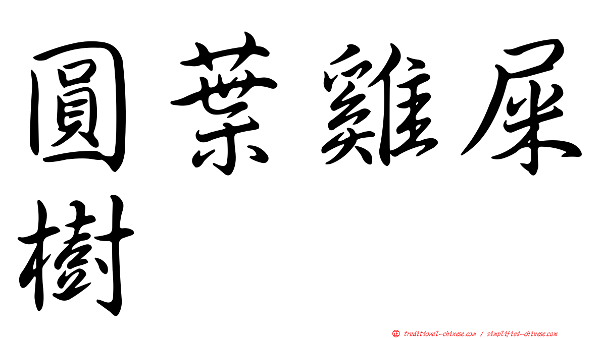 圓葉雞屎樹