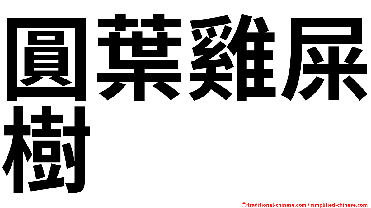 圓葉雞屎樹