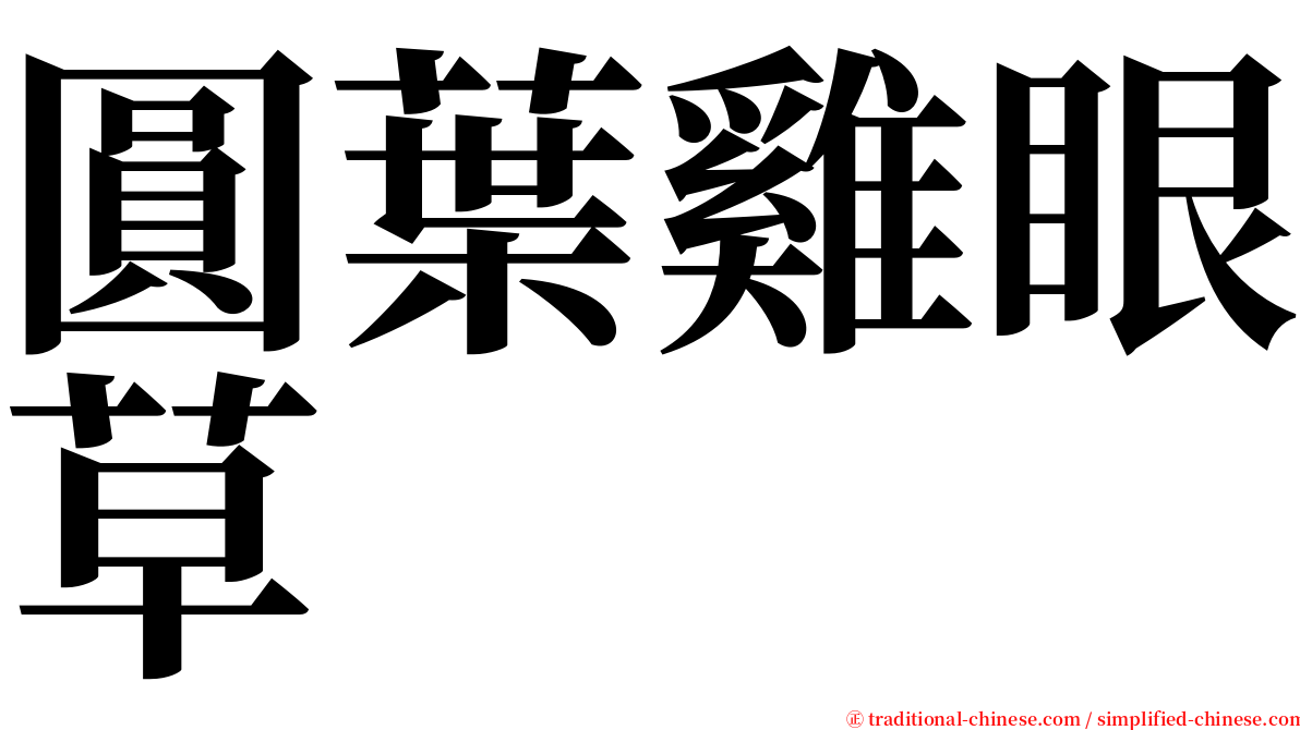 圓葉雞眼草 serif font