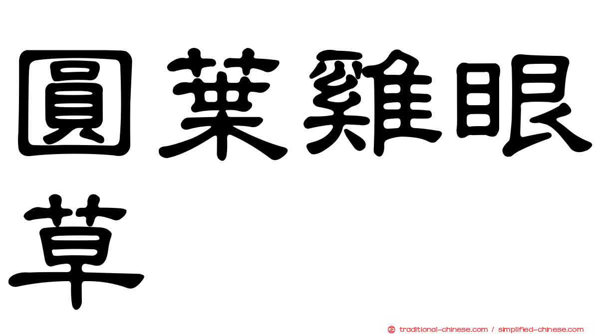 圓葉雞眼草