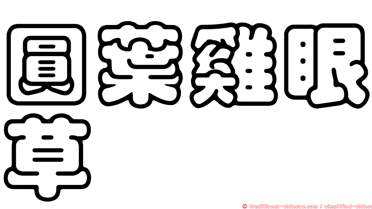圓葉雞眼草