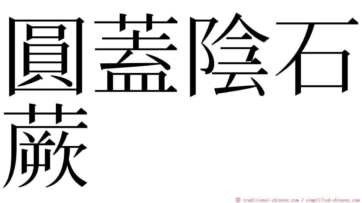 圓蓋陰石蕨 ming font