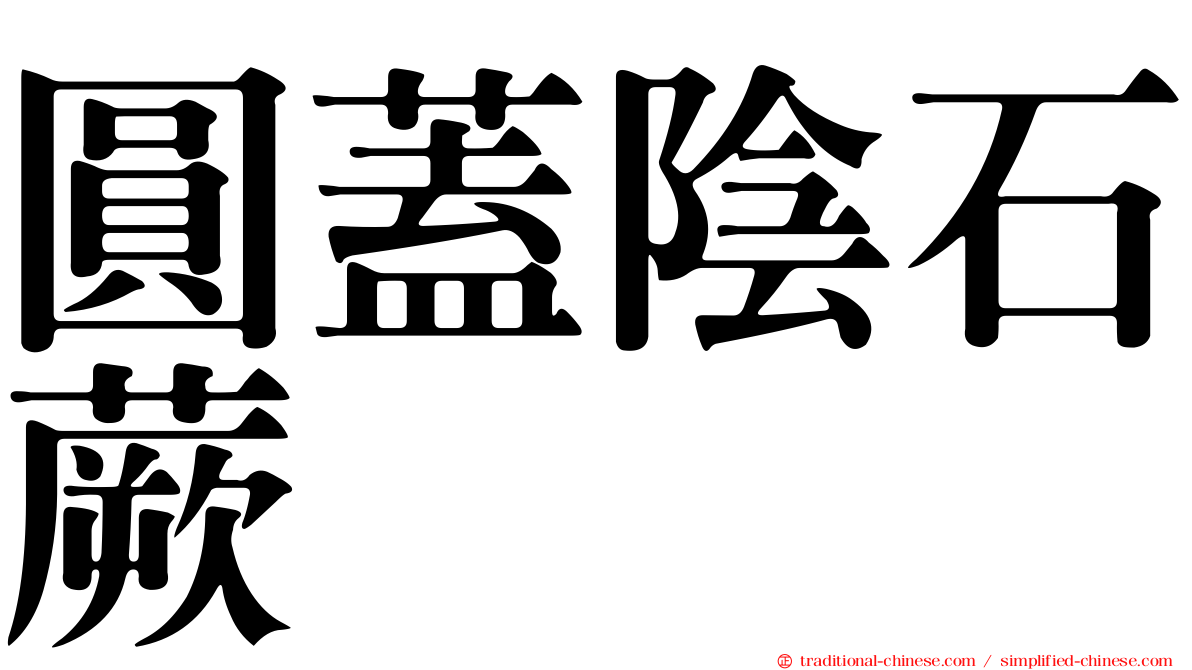圓蓋陰石蕨