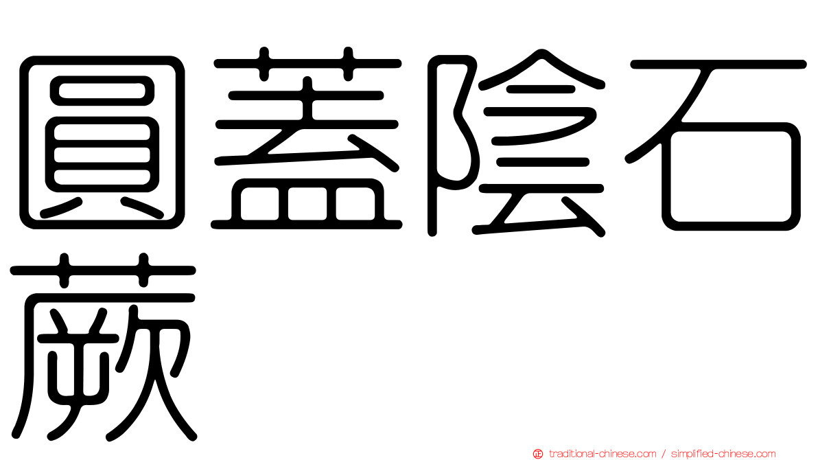 圓蓋陰石蕨
