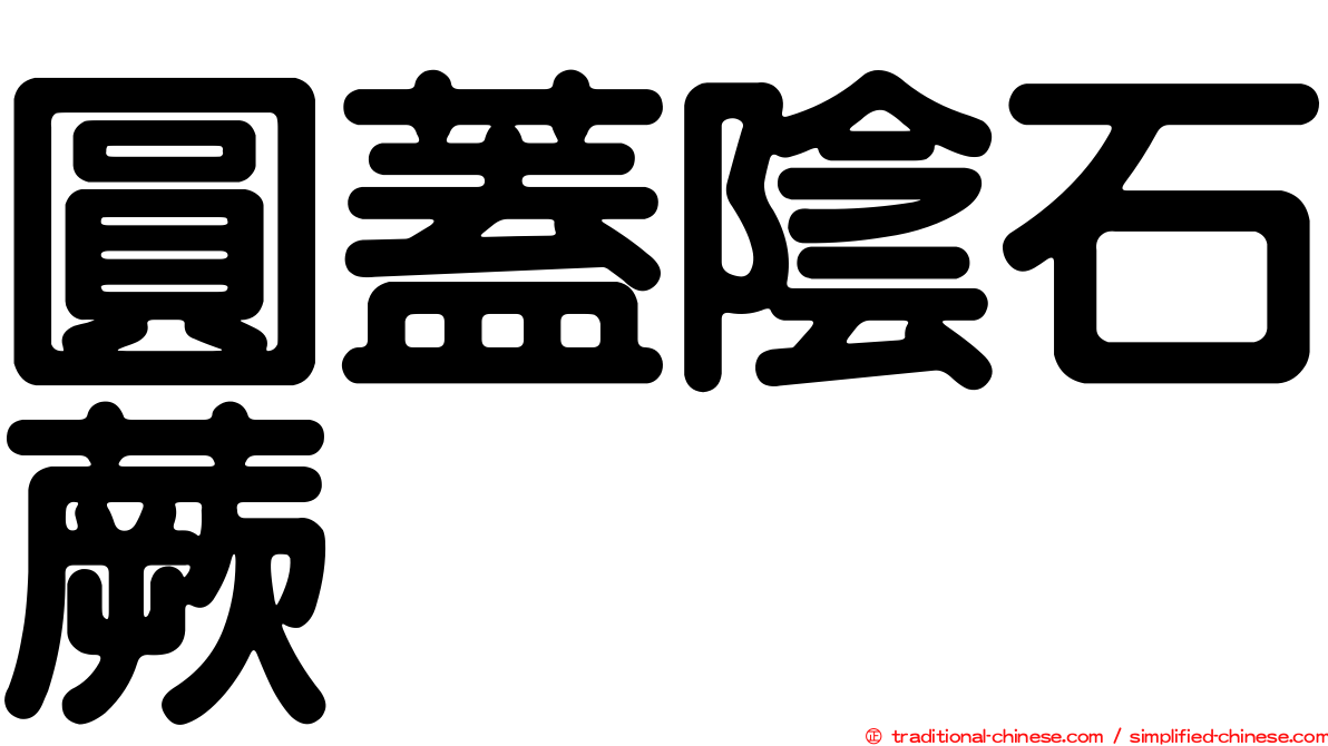 圓蓋陰石蕨