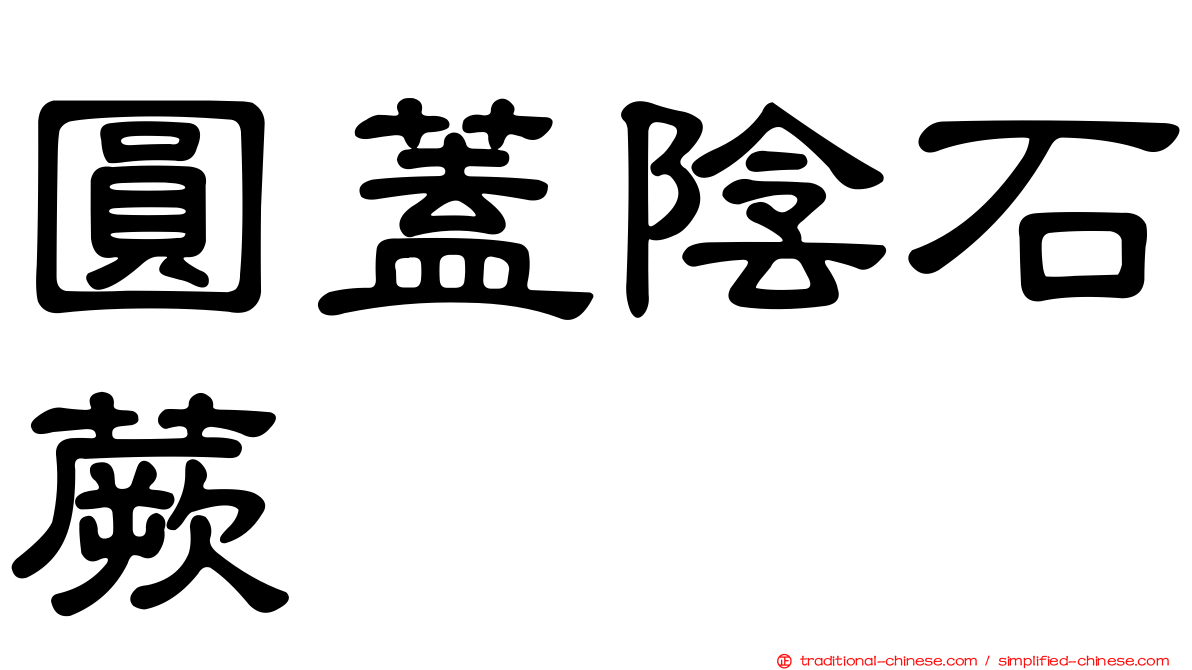 圓蓋陰石蕨