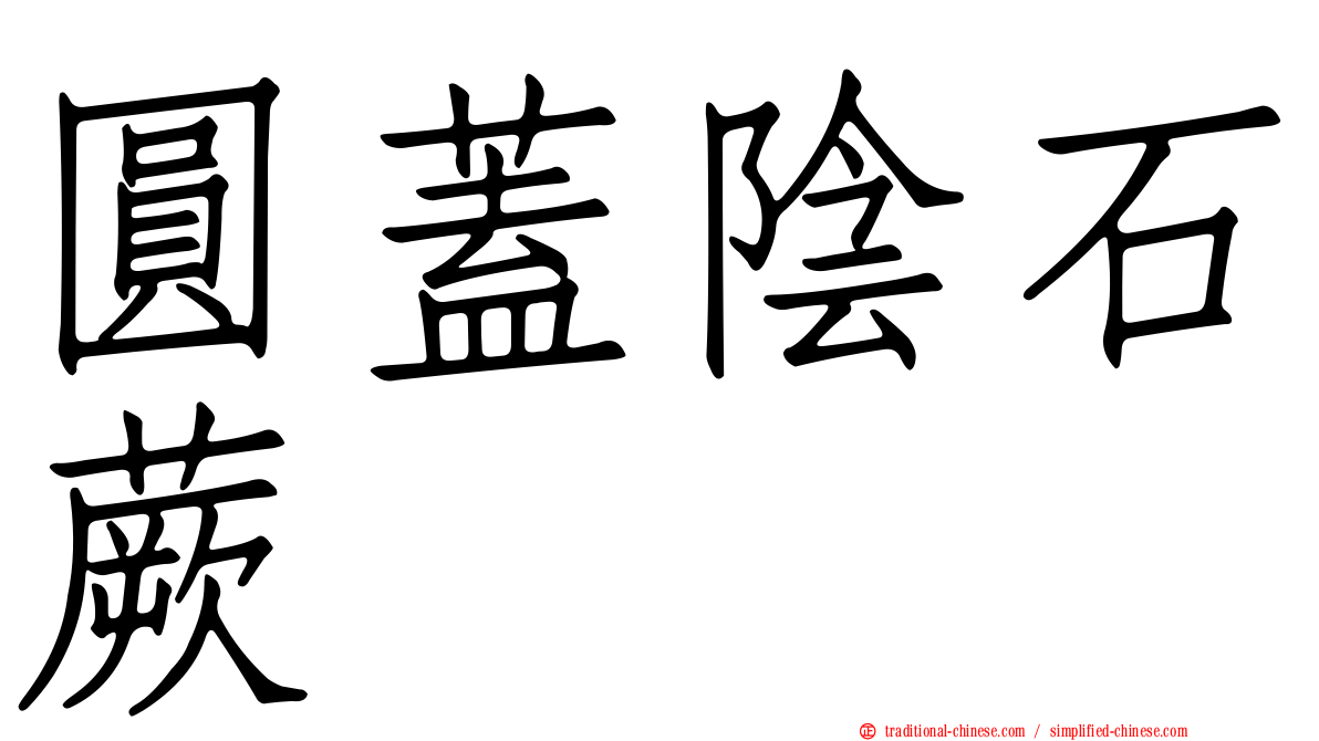 圓蓋陰石蕨