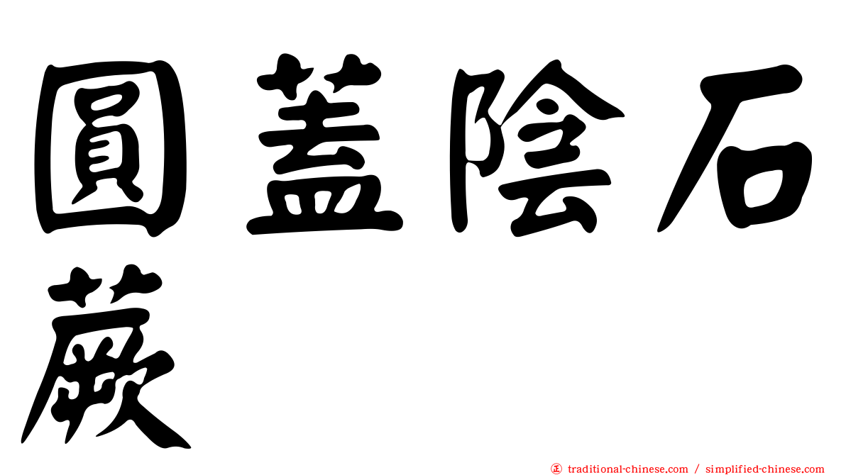 圓蓋陰石蕨