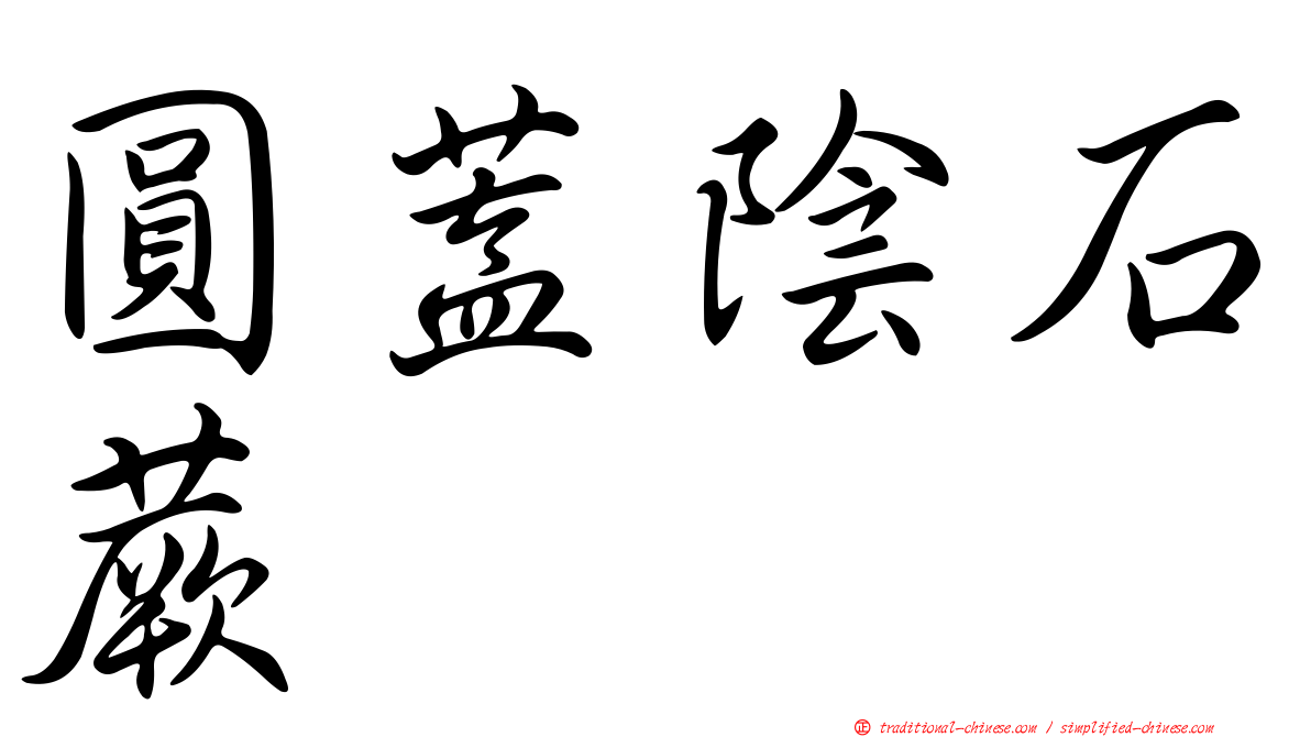 圓蓋陰石蕨