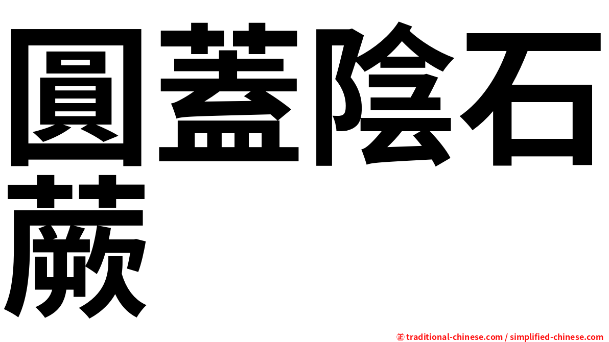 圓蓋陰石蕨