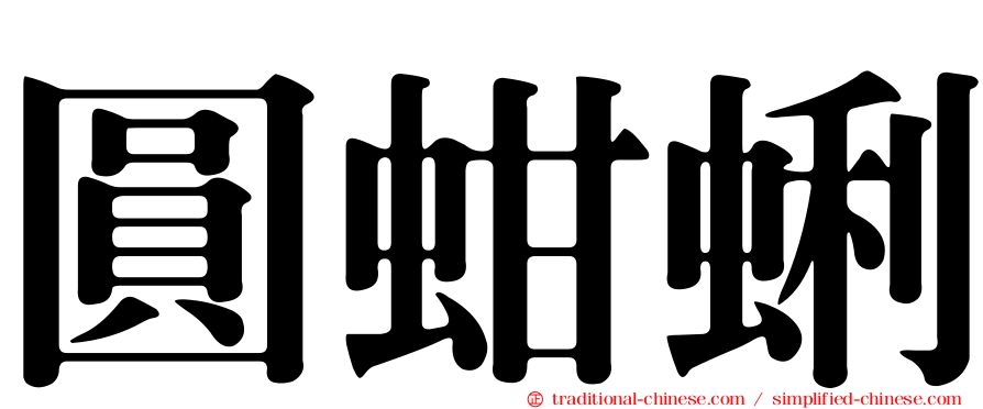 圓蚶蜊