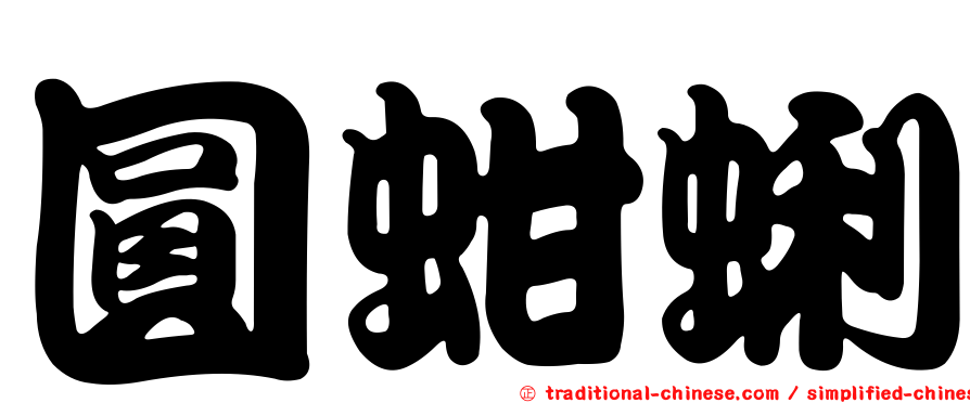 圓蚶蜊