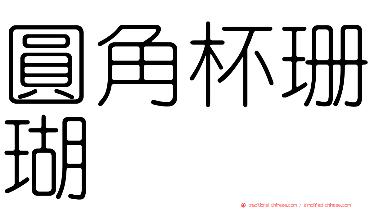 圓角杯珊瑚