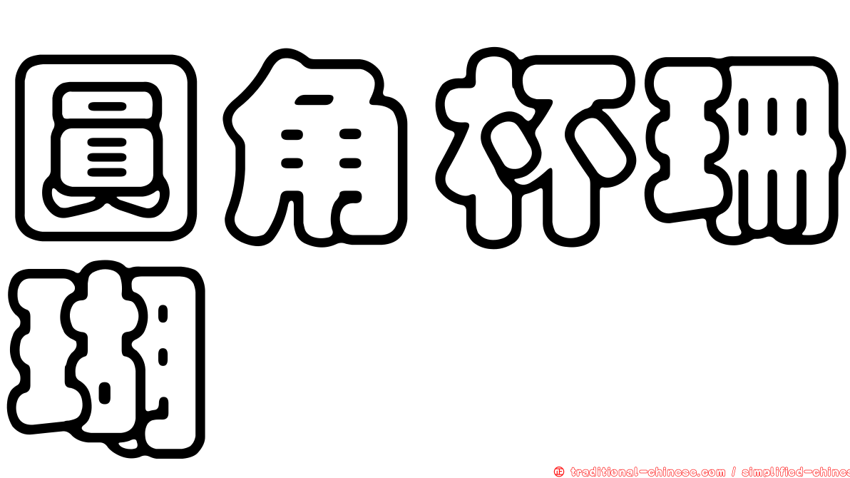圓角杯珊瑚
