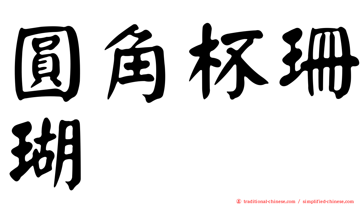 圓角杯珊瑚