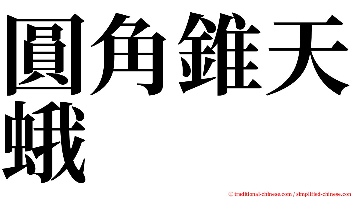 圓角錐天蛾 serif font