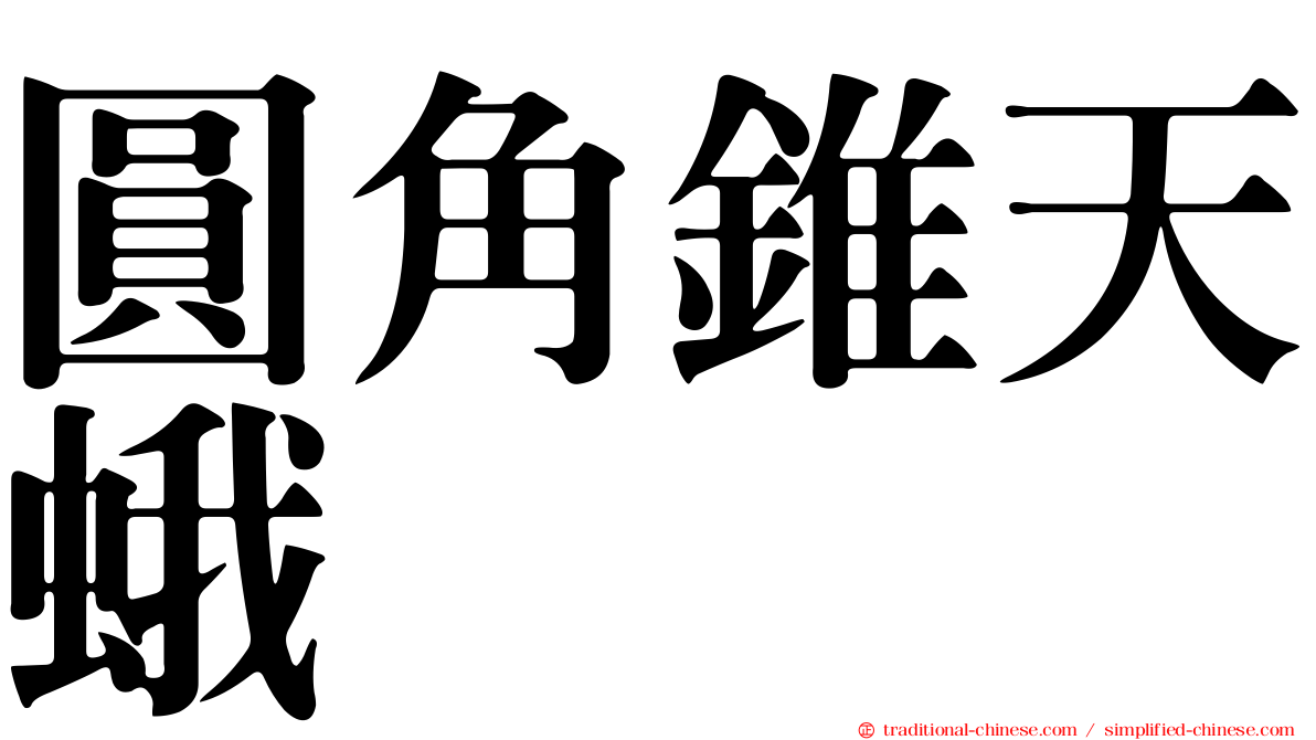 圓角錐天蛾