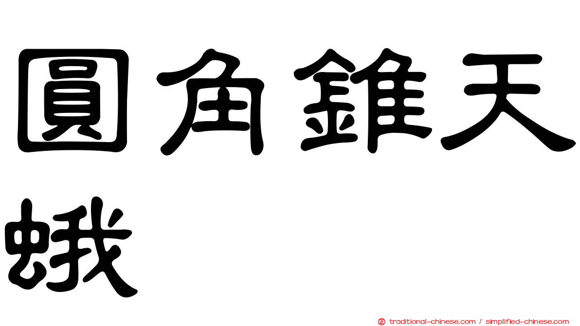 圓角錐天蛾