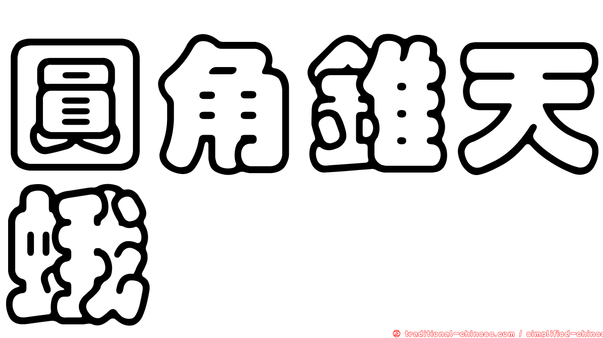 圓角錐天蛾